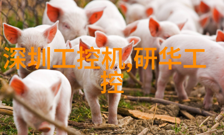 小天鹅引领社会清洁新风高性价比洗衣机五大推荐