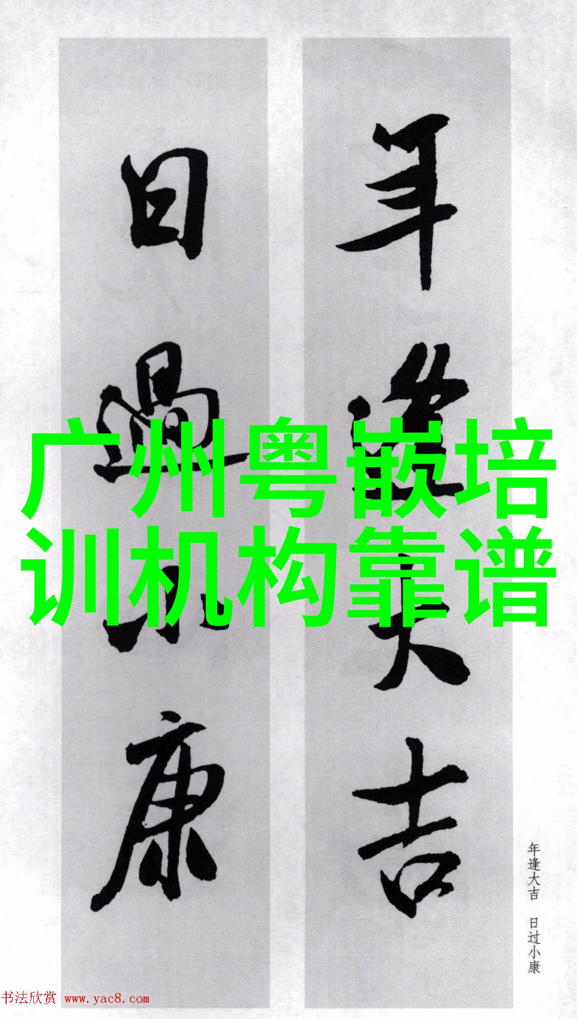 固定床反应器的优点静态激荡动力