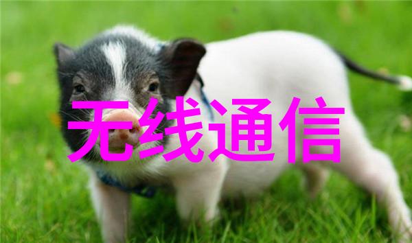 石油化工-燃尽的梦想探索石油化工行业的未来趋势与挑战