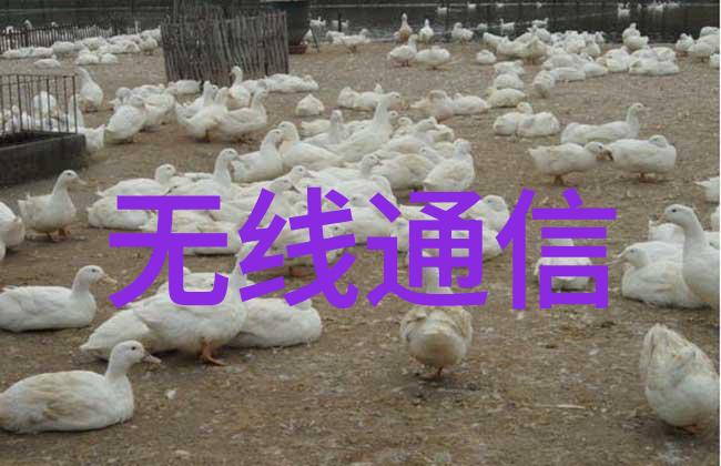 化学工艺精准灌装的艺术与科技