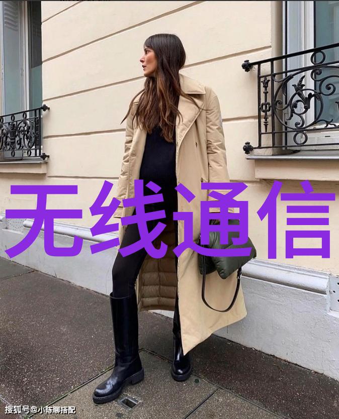 洁净之舞食品包装消毒的机甲守护者
