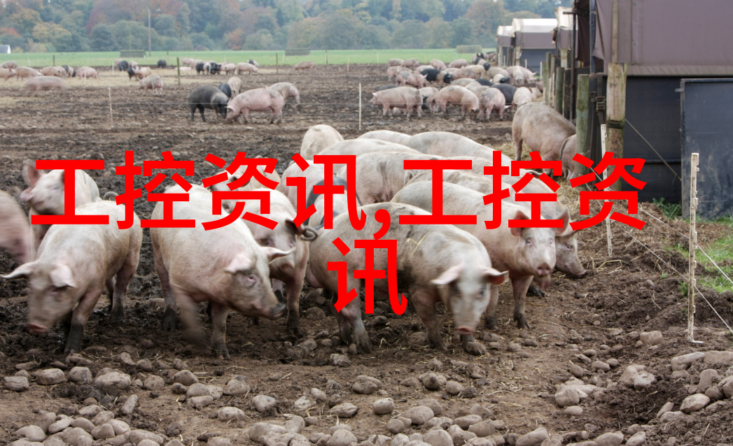 波纹管的不锈钢之美精细工艺的艺术展示