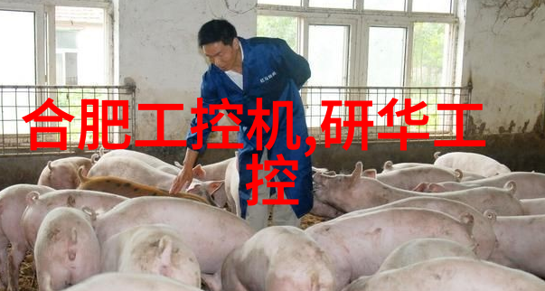 我国芯片龙头企业引领科技创新与产业发展的新里程碑