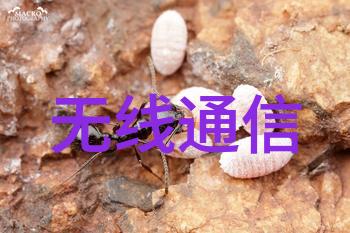 华北工控与Intel完美结合新品与精品层出不穷