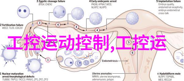 天面防水补漏技巧高效解决屋顶漏水问题