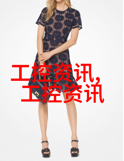 我来告诉你亲自探秘目前中国芯片技术的新动向