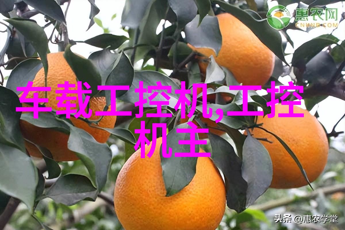 什么因素会导致乱堆填土而不是采用规整方式进行施工