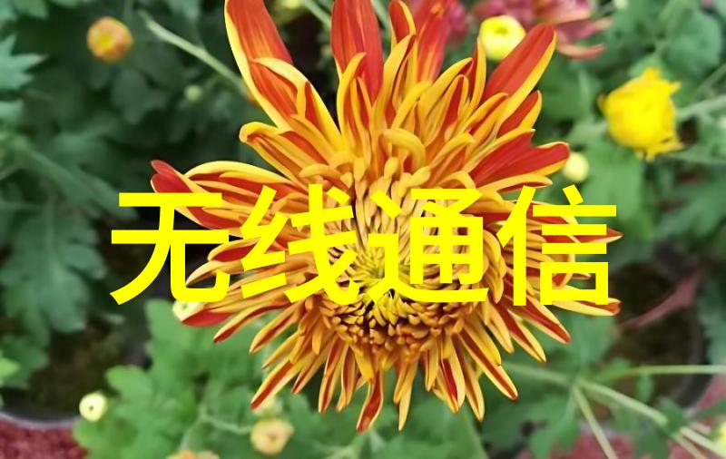 厕所防水装修攻略选材施工技巧与预防措施全解析