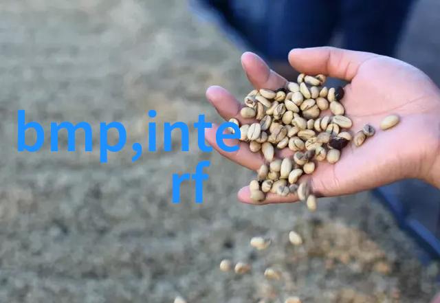 探秘深海巨兽揭开锕锕锕锕好大好深视频背后的科学奥秘