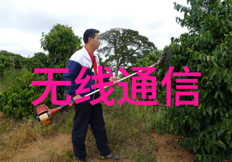 421天后再见一段关系的终结如何体现这一数字