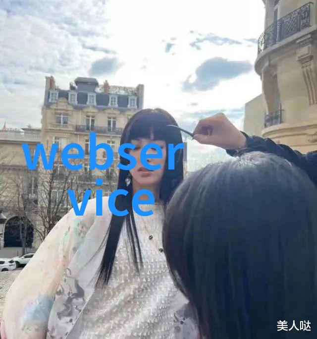 你看看这款scr反应器结构示意图简直是操作的明确指南