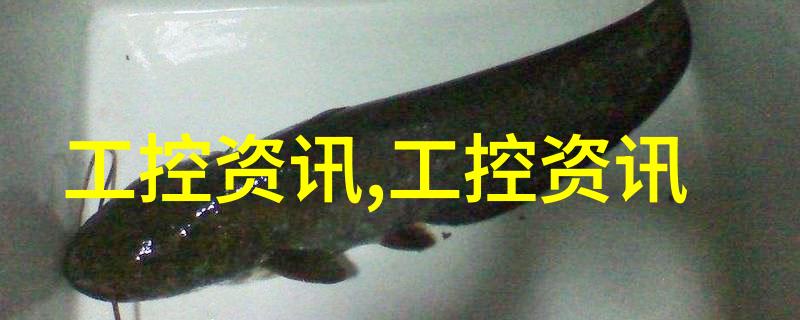 火药与针灸的奇妙结合炮灸艺术的探秘