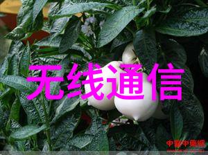 一间小空间的大变革创意点子分享二手房局部装修技巧