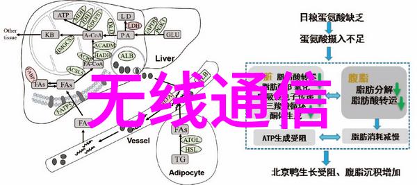 中药提取浓缩新技术的发展与应用前景