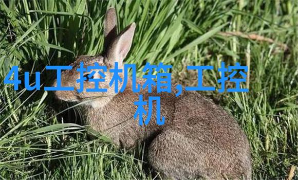 爱看小说我是小说的奴隶如何逃离虚拟世界的诱惑