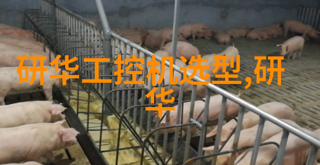 不锈钢管的炼金退火炉中的奥秘