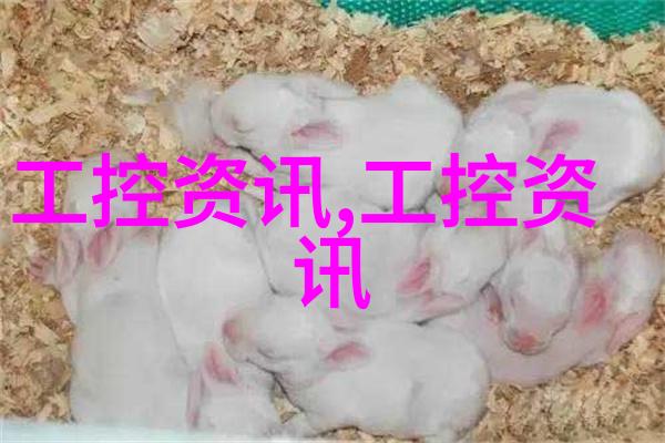 轻松烹饪开敞式厨房装修设计效果图欣赏
