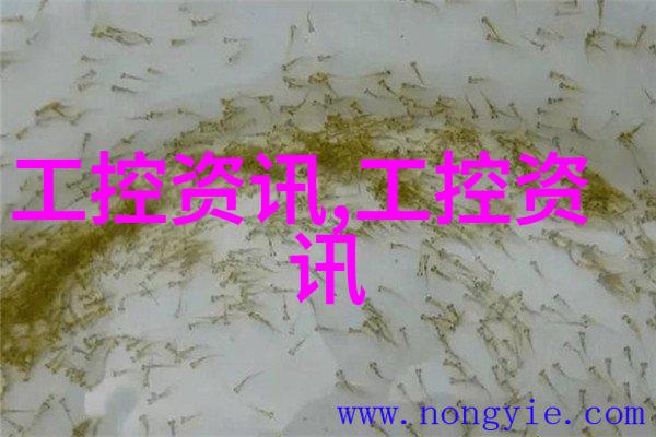 自动化控制系统对于提升粉碎设备性能起到什么作用