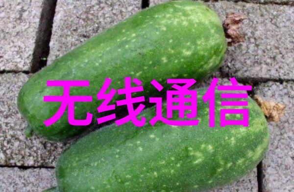 常用的灭菌设备及其在医疗环境中的应用研究