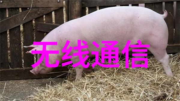 hdpe排水管管件图片HDPE抗压高密度聚乙烯排水管材制品图库