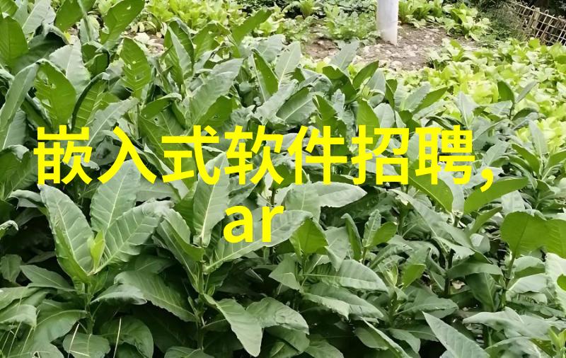 金属之冠探索全球不锈钢制品的精髓