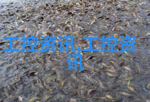 上海别墅装修设计追求独特与个性