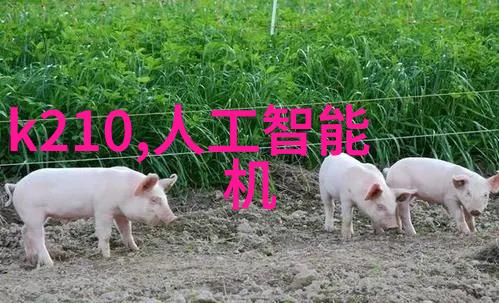 监理日志施工现场的隐秘脉动