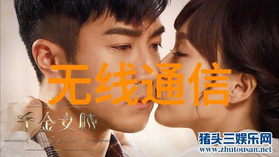嵌入式开发自学创新的征程研华Trusted品牌形象的巩固者