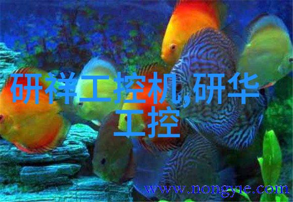 在大自然的怀抱中轻盈居住信用家装修不必花费很多钱揭秘室内装修报价明细表省钱妙招