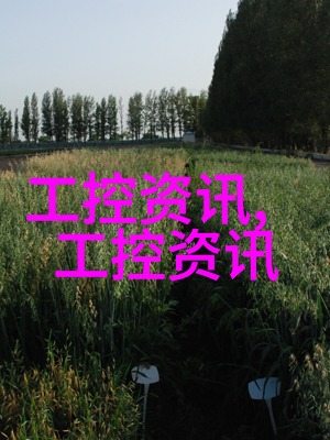 华联帝国从世纪梦想到股份之旅