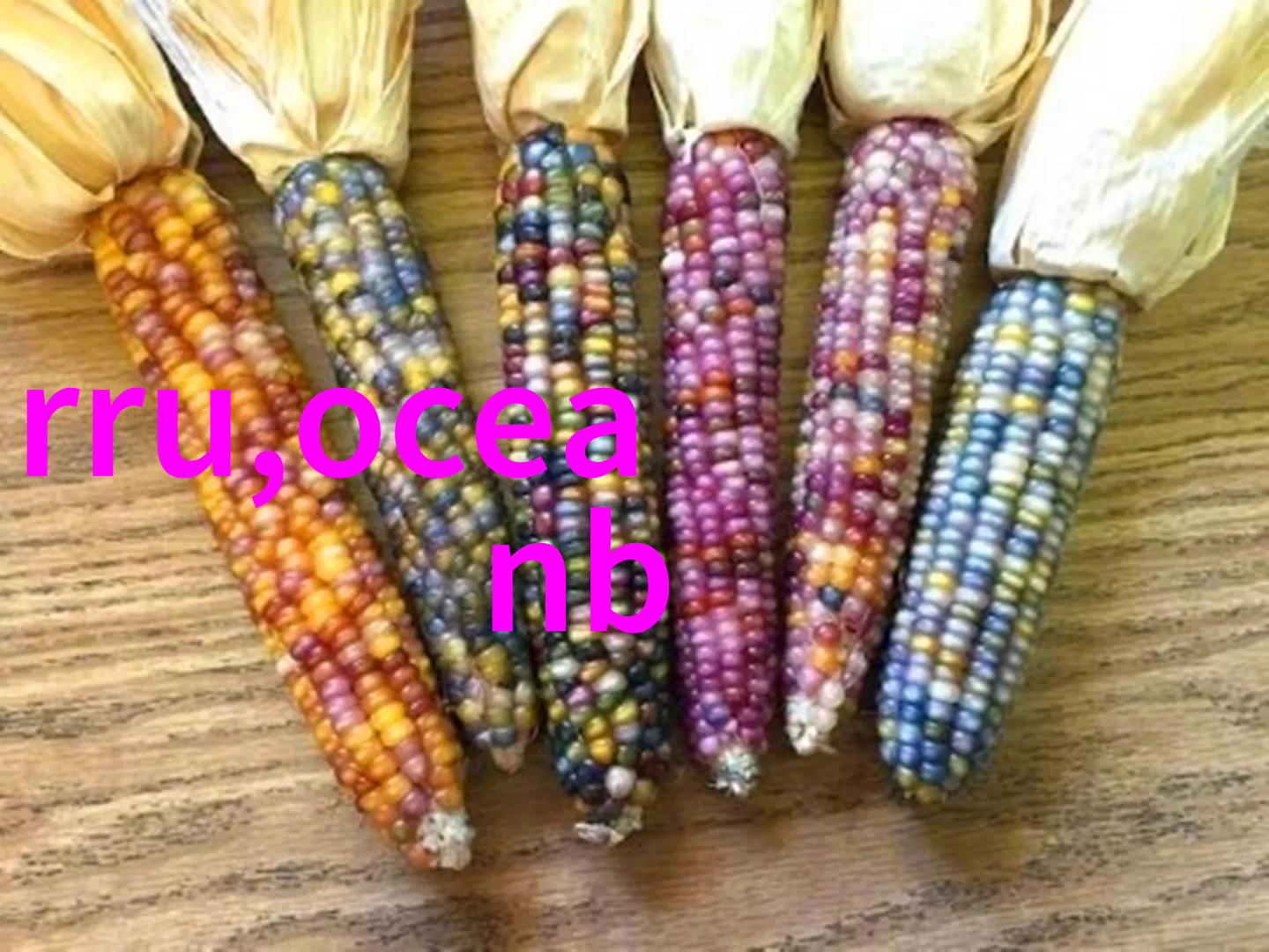 转圈飞翔重生再起宇航员对旋转离心机的感受