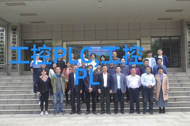 装修房子先装什么后装什么-从基础到细节完美居家布局的顺序指南