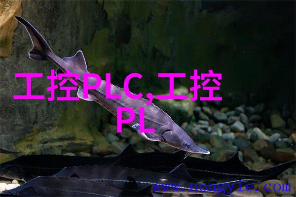 九安医疗股票我眼中的下一个健康巨头如何在股市风云中寻找价值投资的宝藏