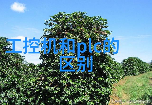 真千金靠玄学成为国宝 - 转世之谜一个真千金的玄学奇遇