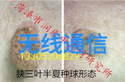 蒸发浓缩设备高效的液体提取系统
