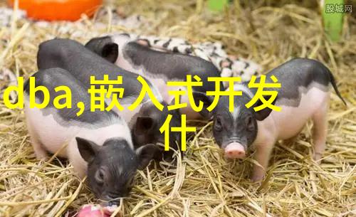 筑梦工程重庆轨道交通新线的建设奇迹