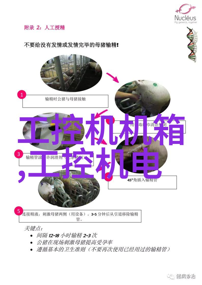 液态变革探秘多功能流化床的奇妙运作