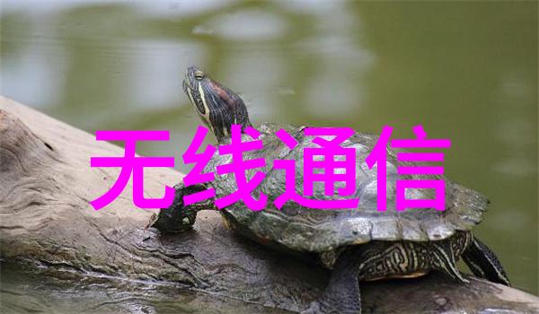 混凝土结构工程施工质量验收规范之探究