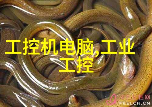 装修房子先后顺序清单我来告诉你怎么一步步搞定家里的翻新大事