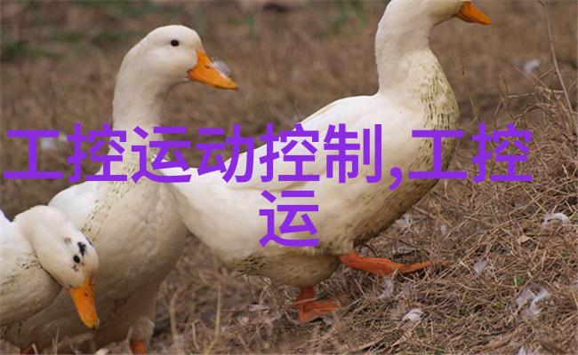 化工净制-精细化工品的纯净制造艺术