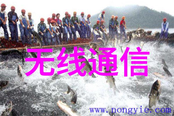 塑料反应釜生产厂家专业制造高品质化学实验设备
