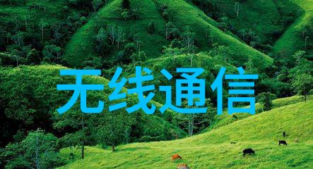 室内奇遇毛坯房的装修之路
