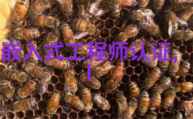 未解之谜bx500填料参数的秘密