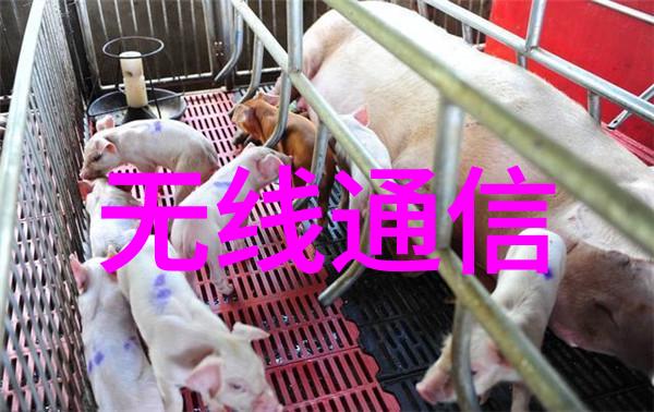 粉碎机设备的运作原理与应用实例