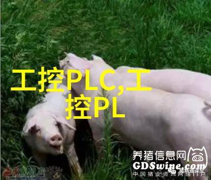 填料安装指南三瓣六瓣的正确搭配与应用