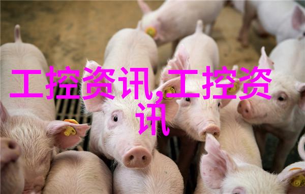 水源净化与环境保护的重要探究揭秘水质检测技术