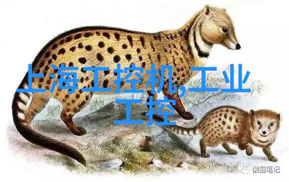 水电预埋之谜一平方的秘密金钱河流