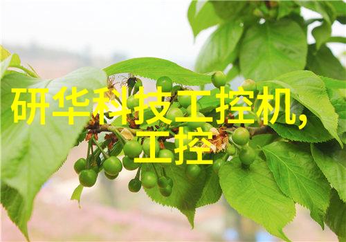 探索科学世界发生剂与催化剂在实验中的角色扮演