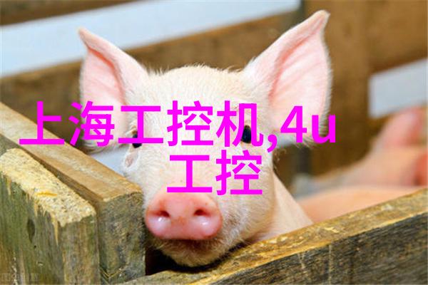 第一次做攻怎么帮零开-攻略指南初次担任主攻角色如何帮助队友零开局