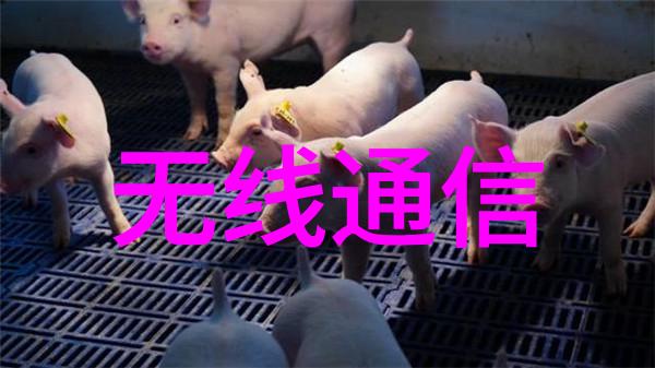 墙体装饰的绘卷建筑工程实习报告